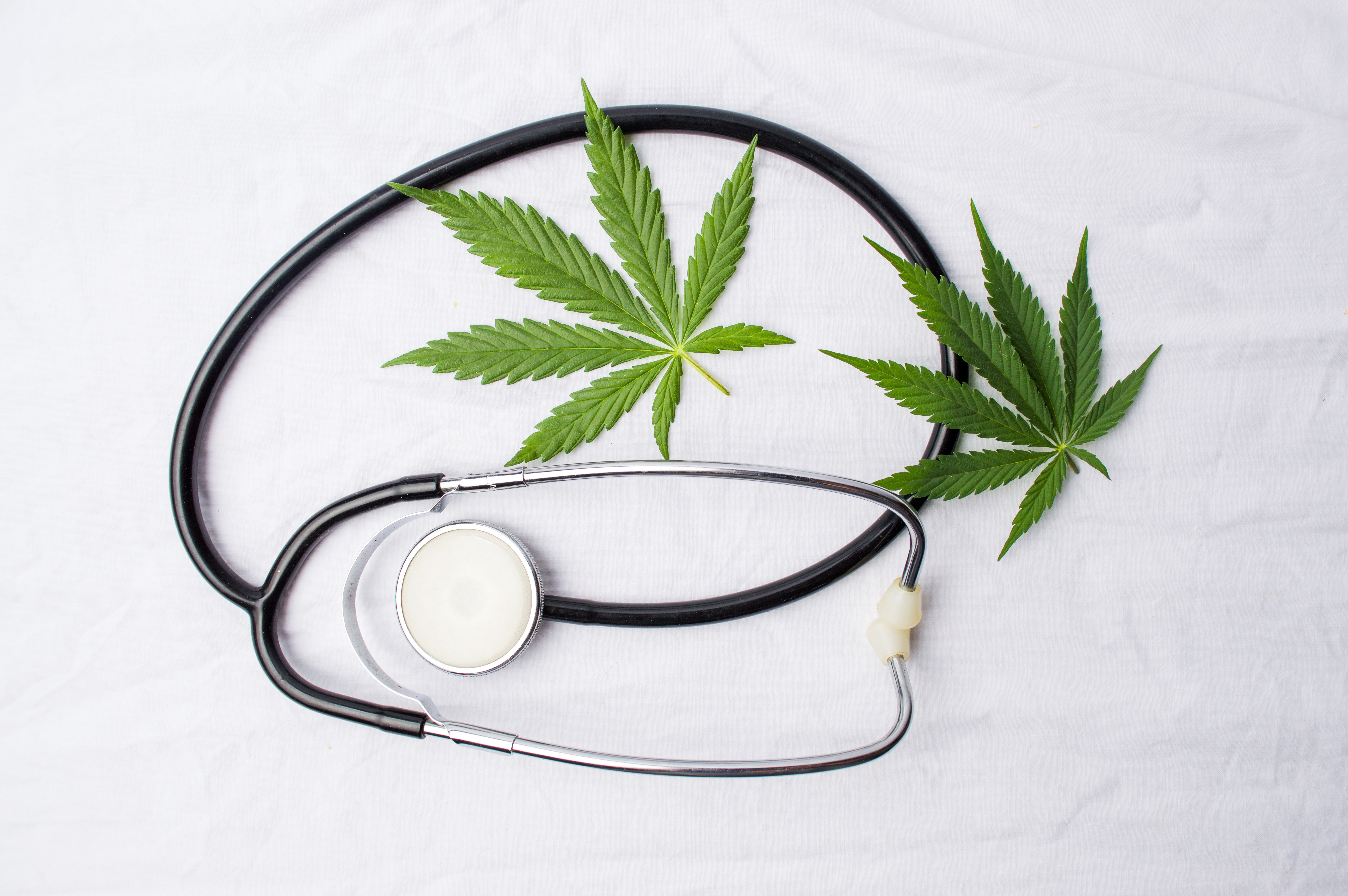 Commission awards competitive licenses for medical cannabis industry