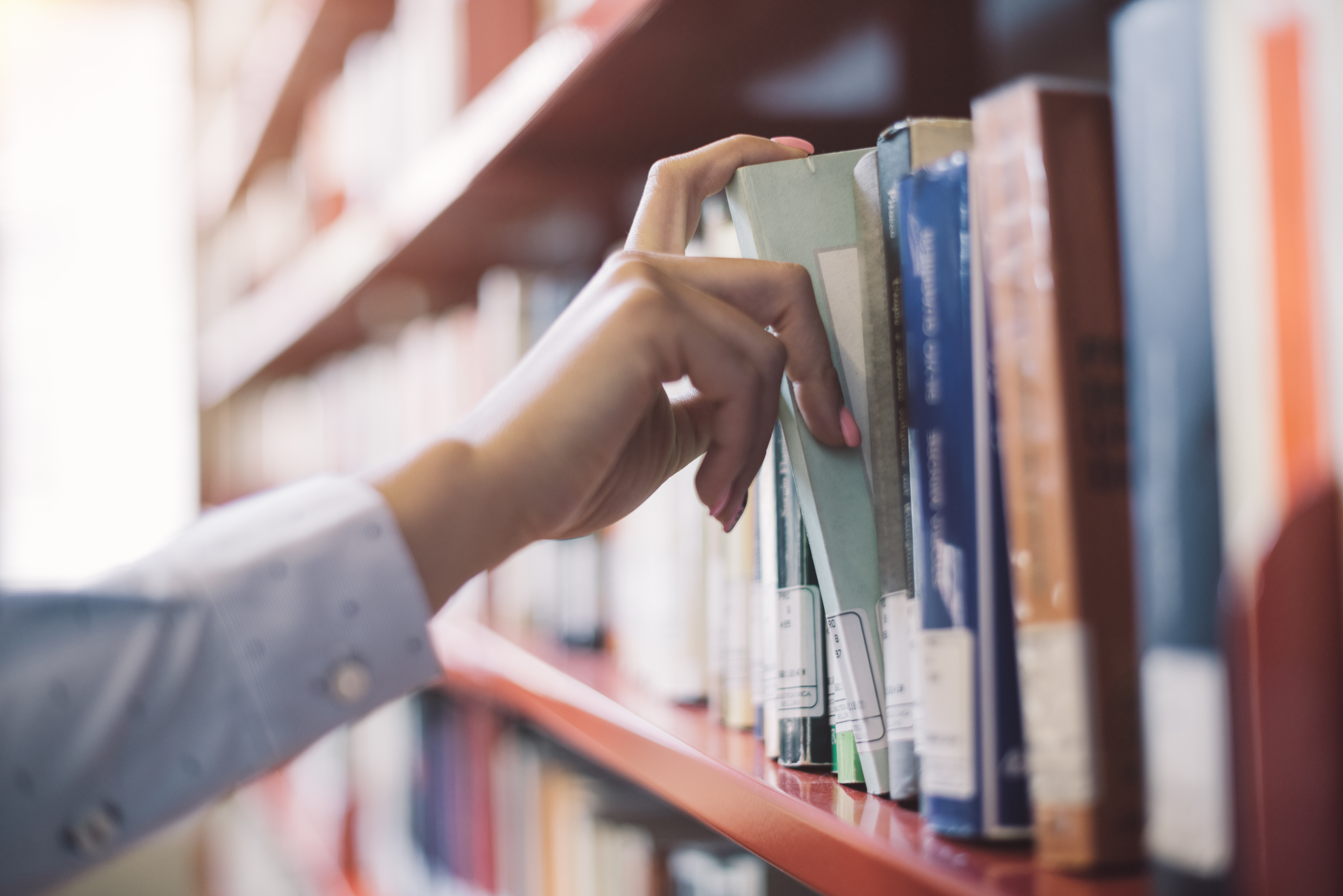 New bill would ban “sexual content” from minors’ shelves in public libraries