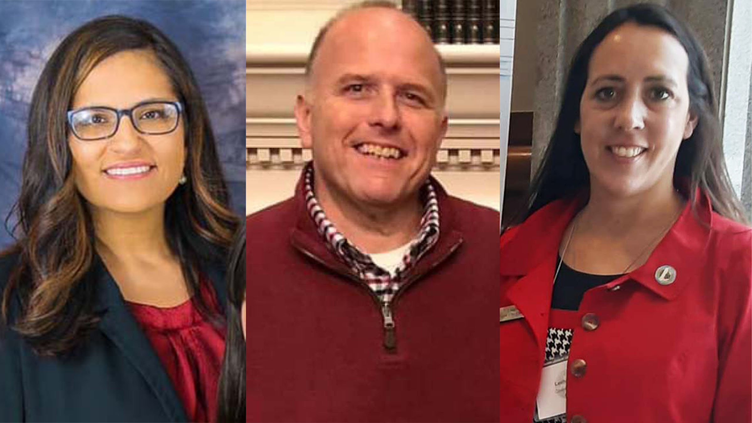 Majority of Ozark City Council expresses public support of library