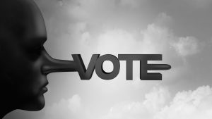 A guide on how to steal votes