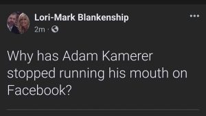 Ozark City Council votes to censure Mayor Mark Blankenship