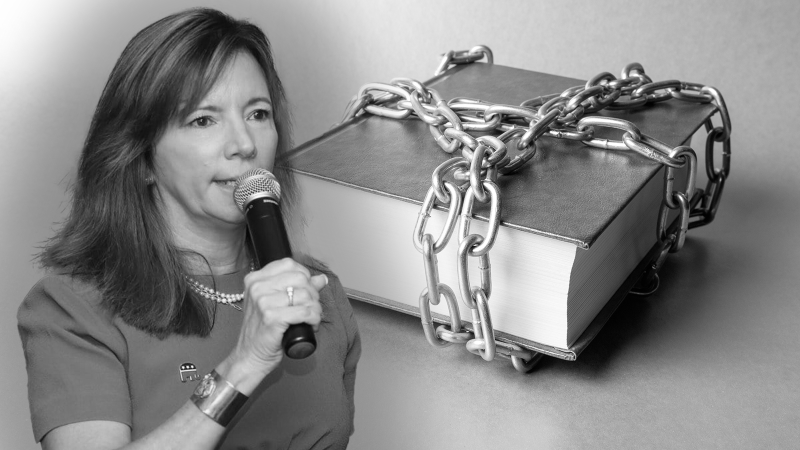 Shelby County delegation wants to control the North Shelby Library Board