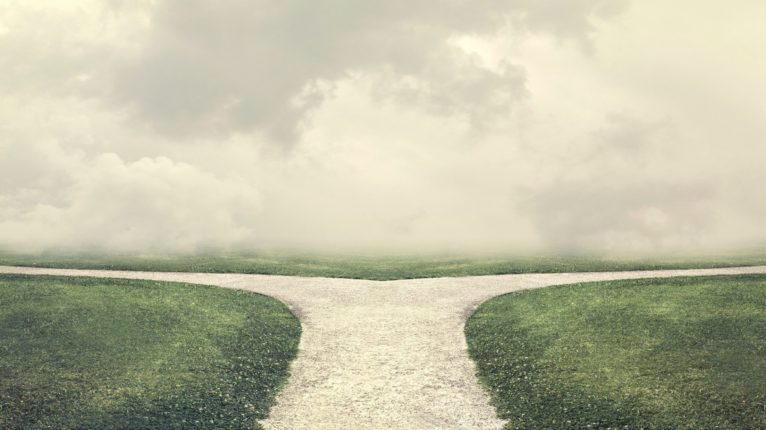 Alabama’s medical cannabis licensing: A fork in the road