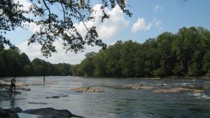 Commission hears debate on proposed toxicity standards updates