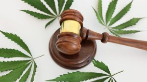 Court grants temporary restraining order on cannabis dispensary licenses