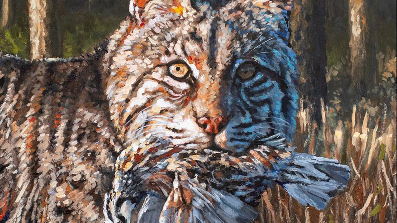 Auburn graduate wins top prize at WEWA’s Alabama Wildlife Fine Arts Competition