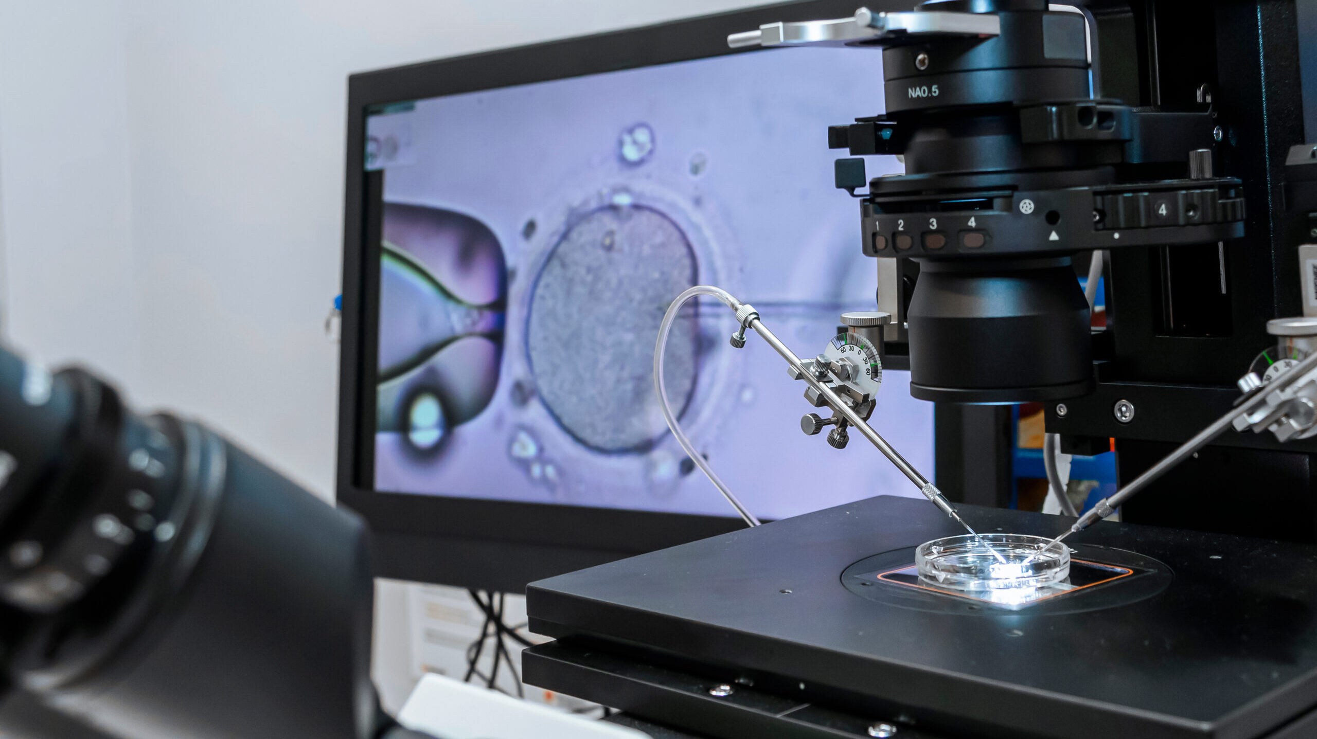 Rep. Stadthagen exposes truth on IVF against “dark money group’s” claims