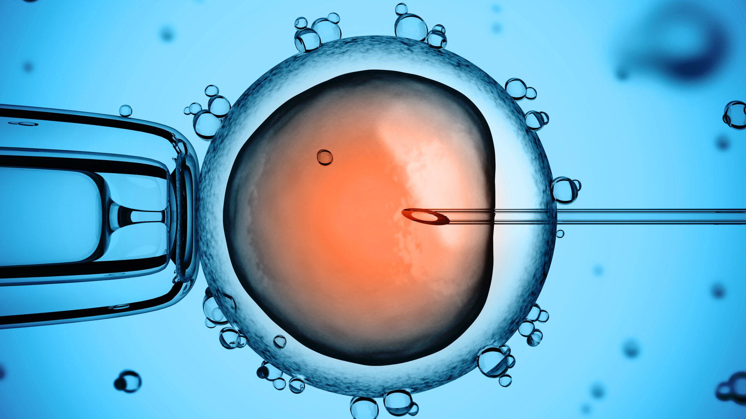 House passes IVF bill, debates consistency with state’s fetal personhood stance