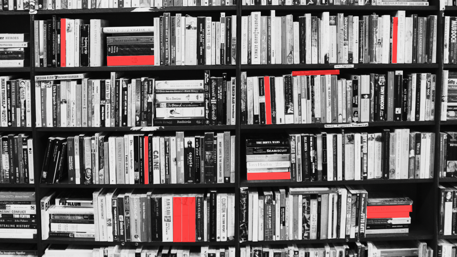 Prattville Library Board committee urges director to move books under new policies