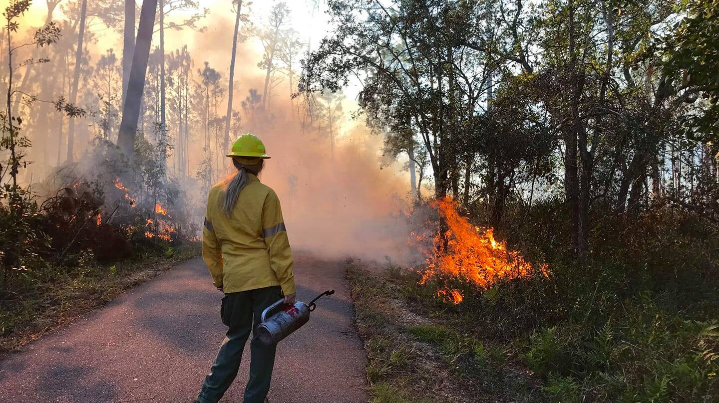 Public support of conservation efforts at state parks improve natural habitats