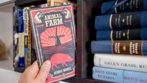 Lawmakers push for librarian arrests in far-right bid to “protect children”