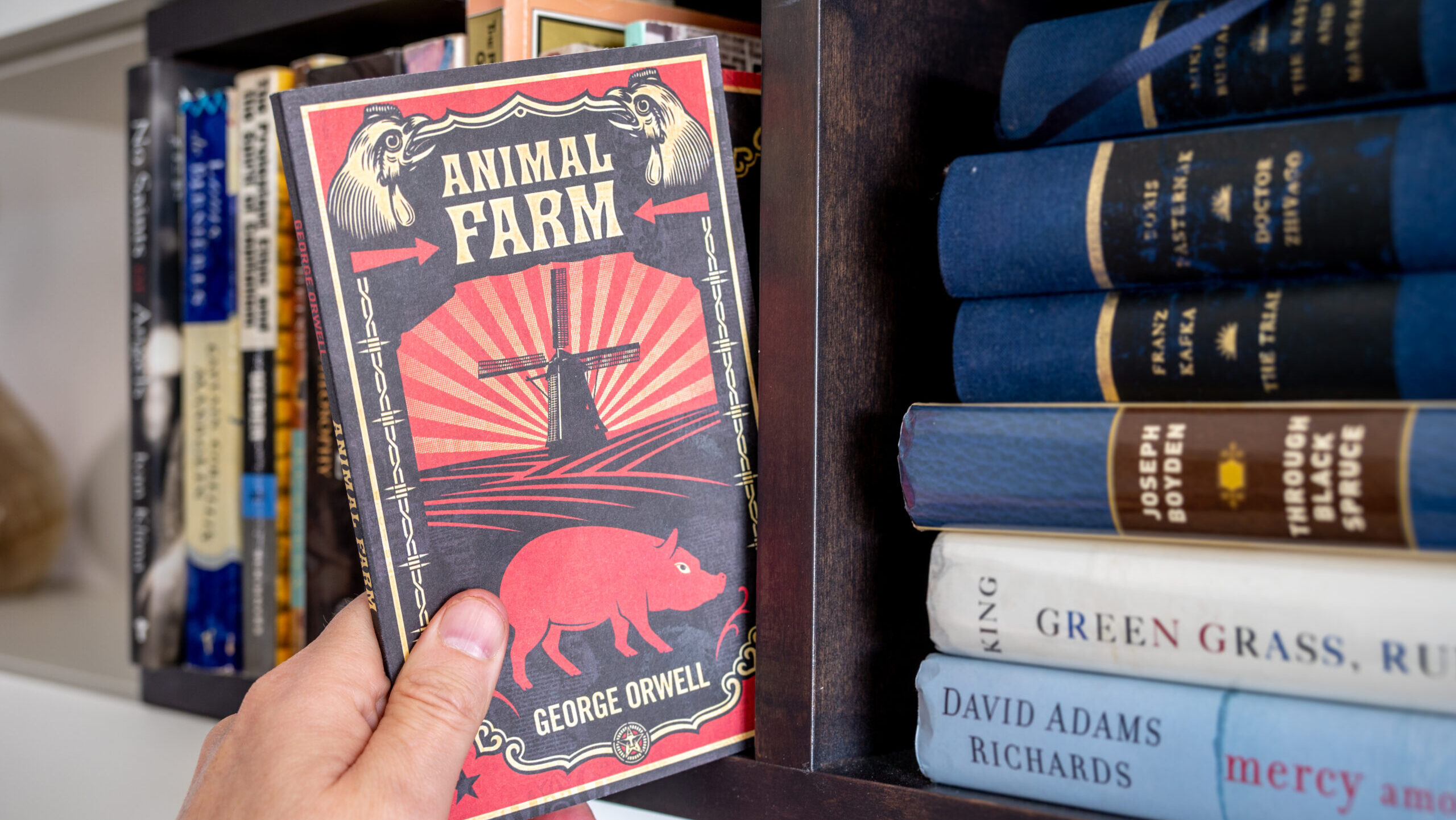 Lawmakers push for librarian arrests in far-right bid to “protect children”