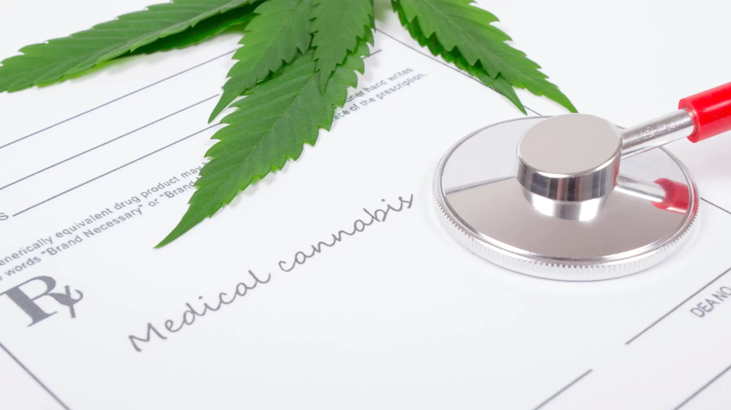 New bill seeks to put the law back in the medical weed licensing process