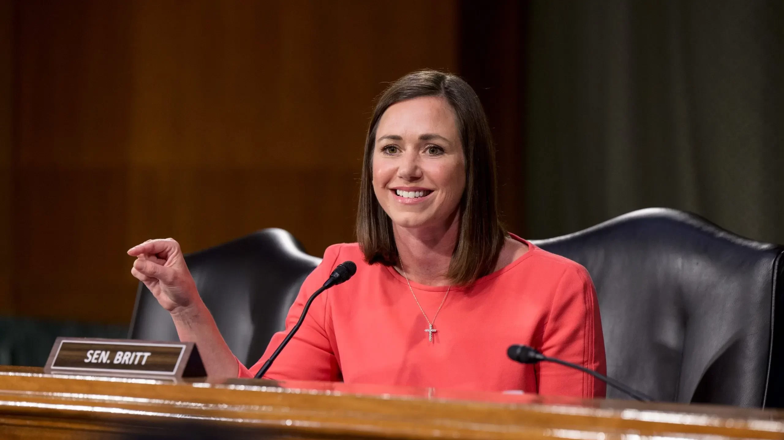 Sen. Britt seeks to designate Jan. 23 as Maternal Health Awareness Day