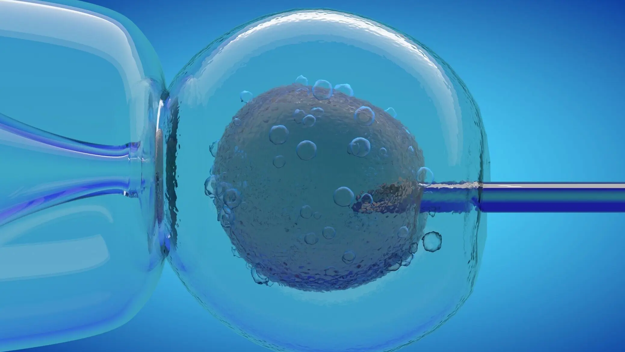 Fertility Providers Alliance holds virtual press conference to discuss the future of IVF