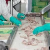 poultry processing meat food industry