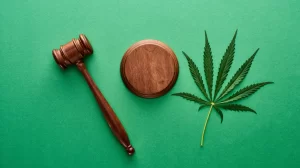 January 1 brings a new statewide regulatory system for consumable hemp products