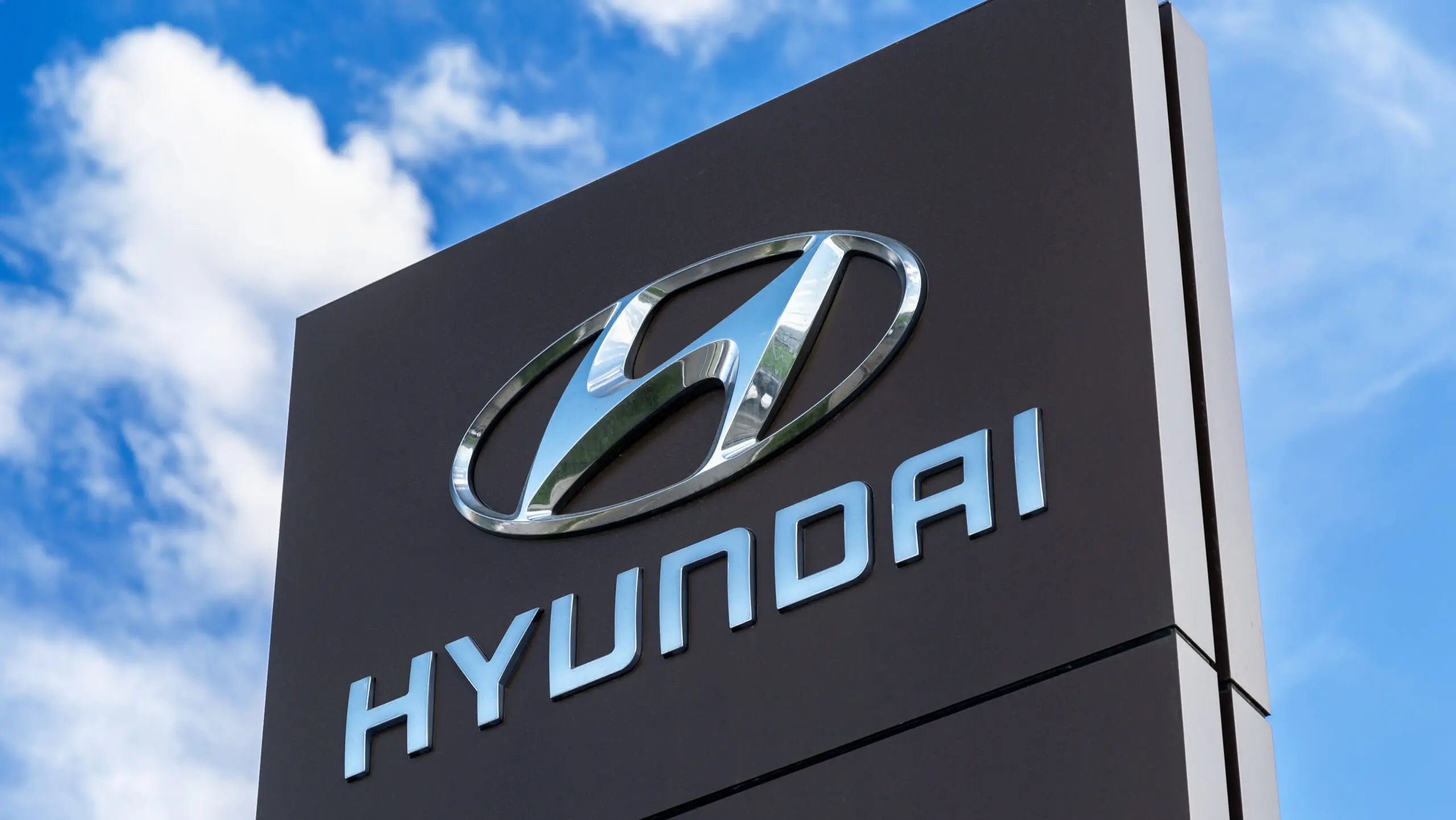 Hyundai-Kia supply chain included in “Dirty Dozen” list of dangerous employers