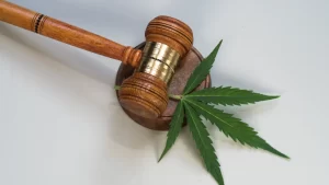 House passes bill to further criminalize marijuana use despite pushback