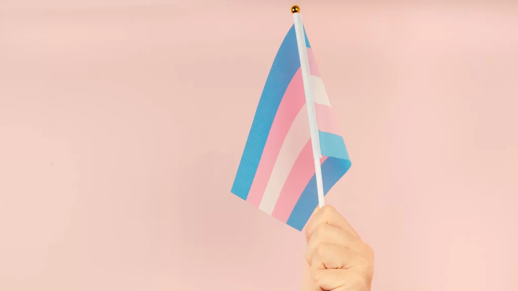 Hand holding flag in transgender pride colours