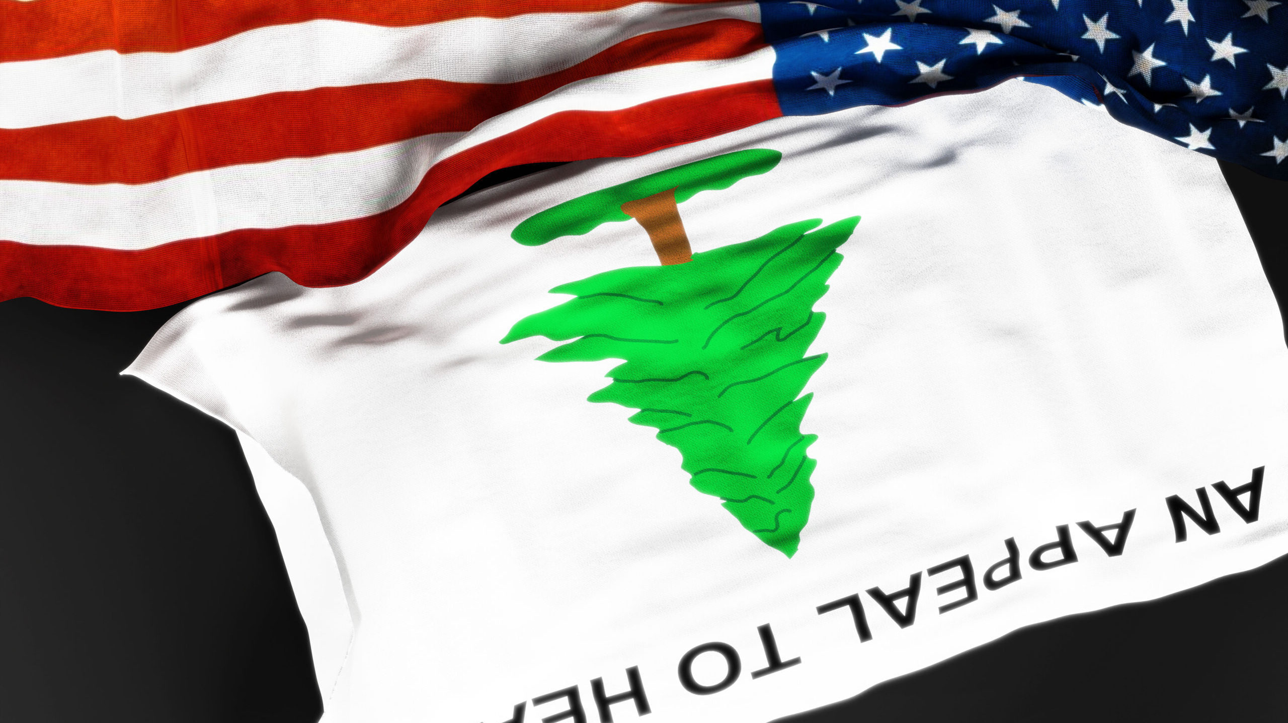 Justice Alito’s pro-choice household (for flags, anyway)