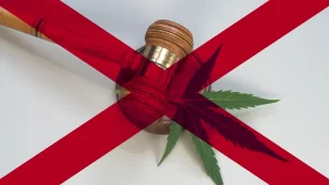 New hemp law takes effect—but no stores have licenses