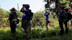 Black Belt Road Trip Photo Contest launches for summer 2024