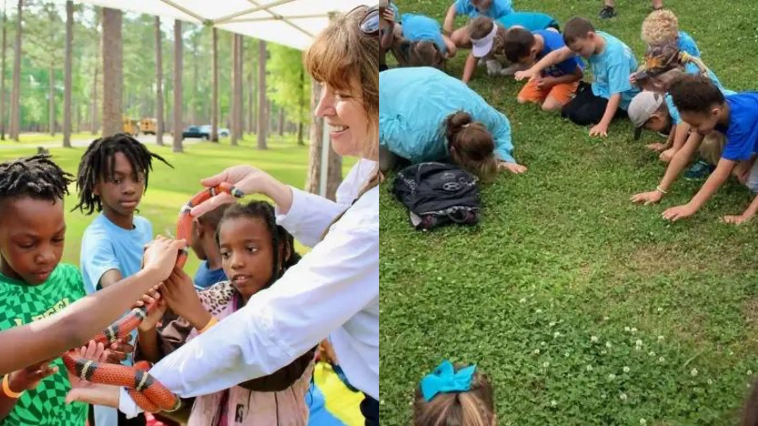 Nature’s Wonder-Book: Alabama State Parks educate and inspire