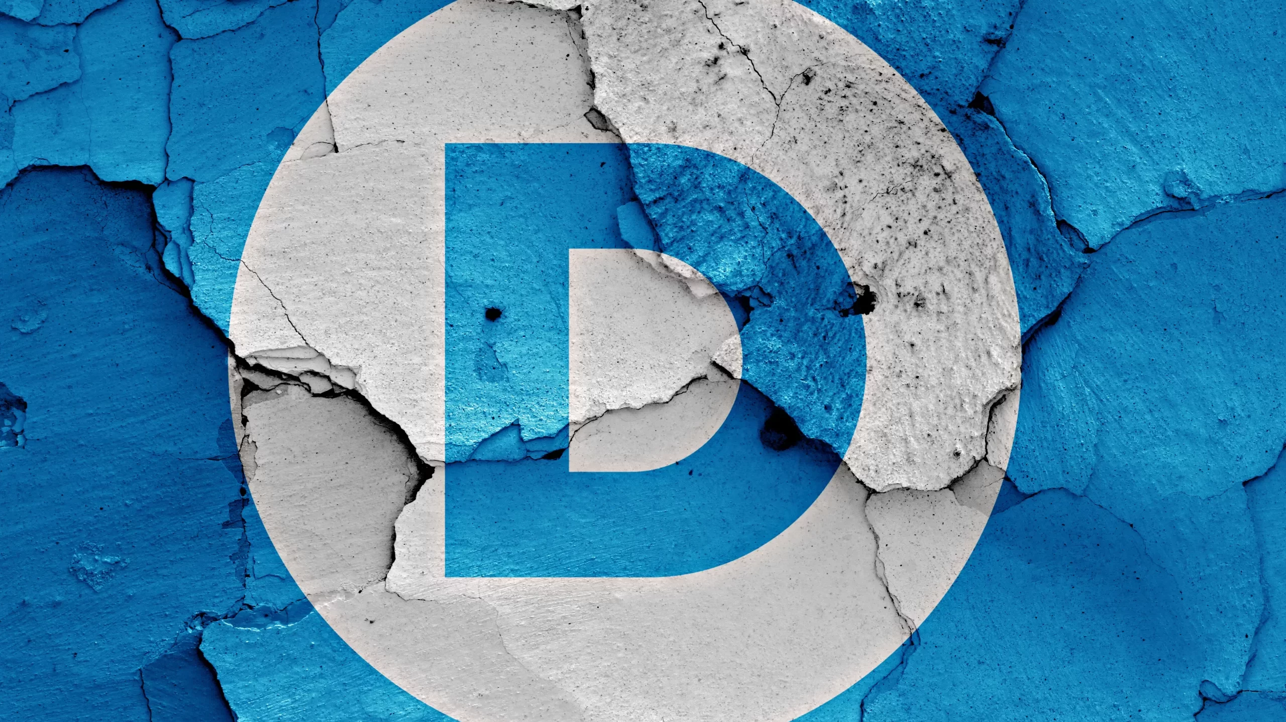 ADP, DNC still fighting over state delegates