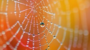 Alabama’s IVF crisis demands exceptional leadership and legal foresight