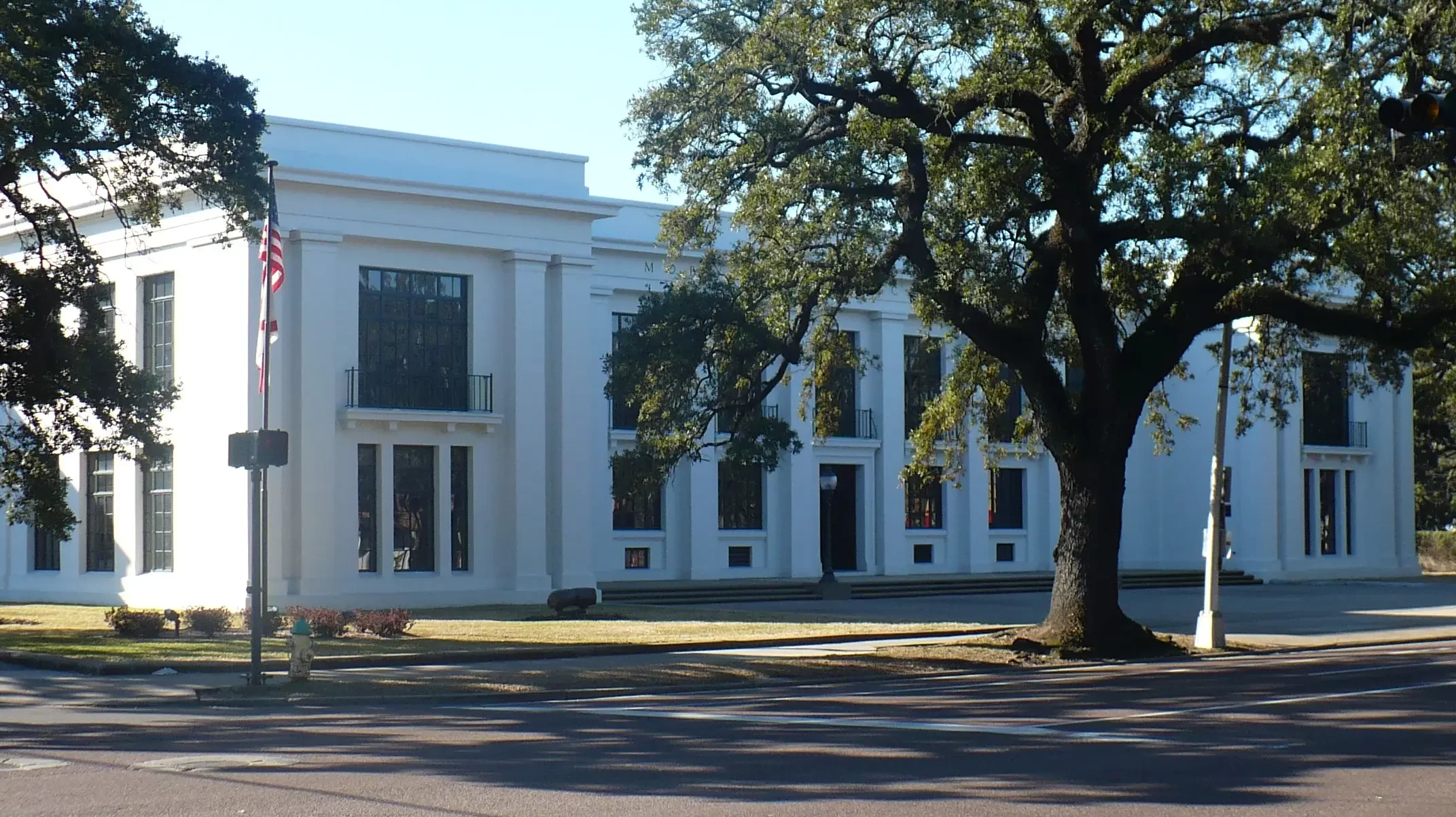 Mobile councilman pushes back against book challenges