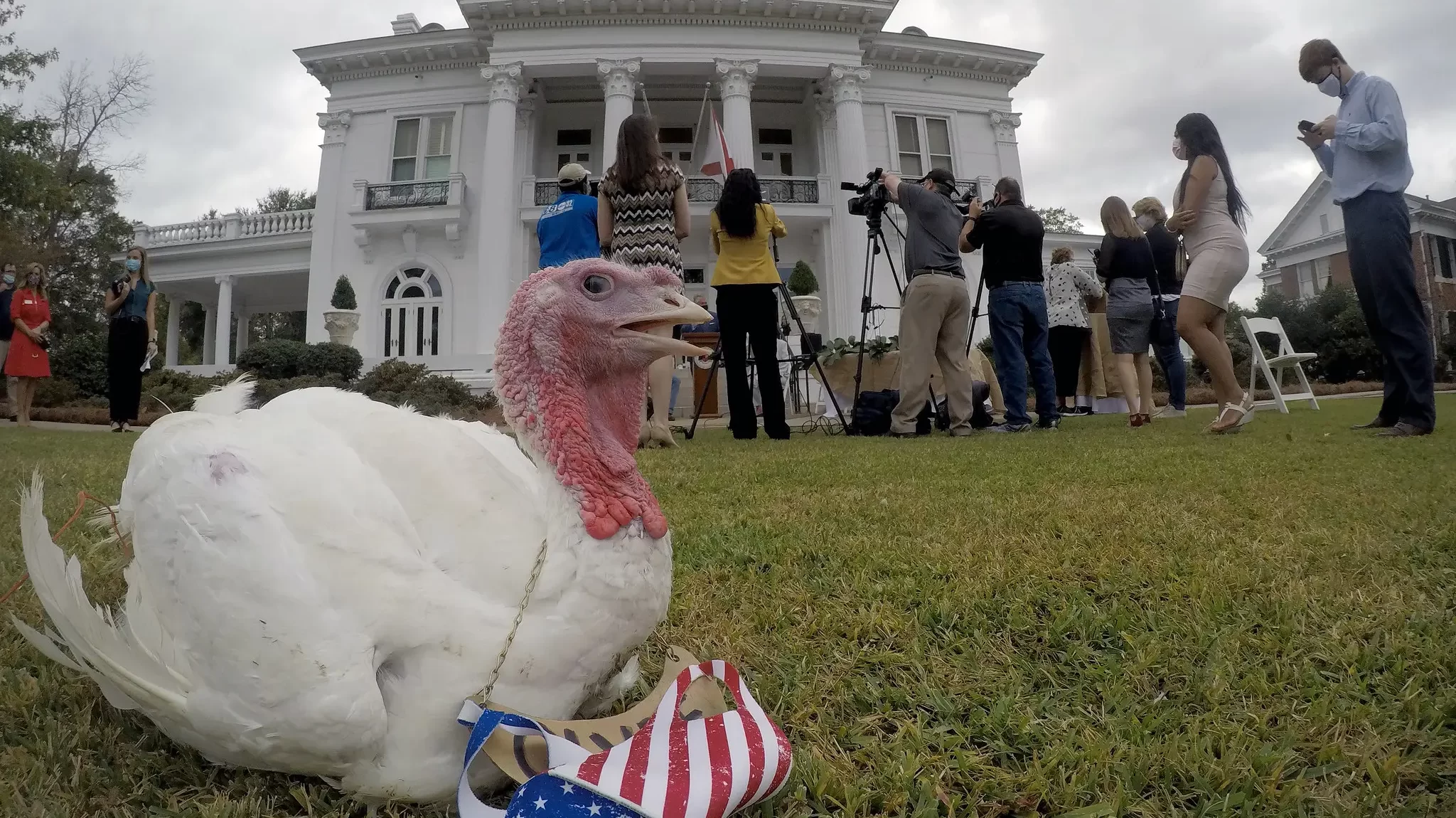 Gov. Ivey launches poll to name turkeys for Alabama’s 76th annual pardoning