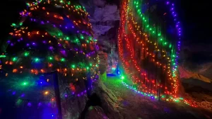 Celebrate the holidays by visiting “Wonderland Under Warrior” at Rickwood Caverns