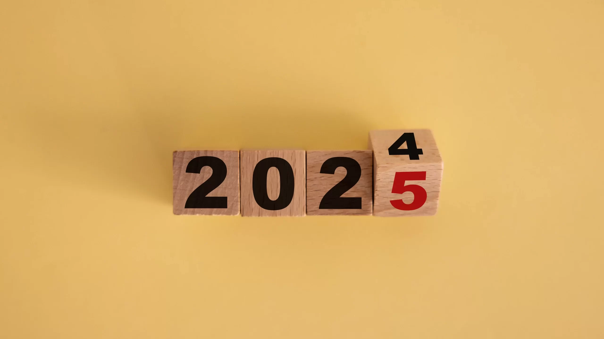 2024 in Review: Mary Claire Wooten’s Top 5