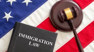 Prefiled bills seek to “add some teeth” to immigration enforcement