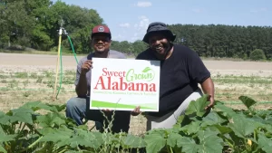 Sweet Grown Alabama changes membership levels to flat $100 annual fee