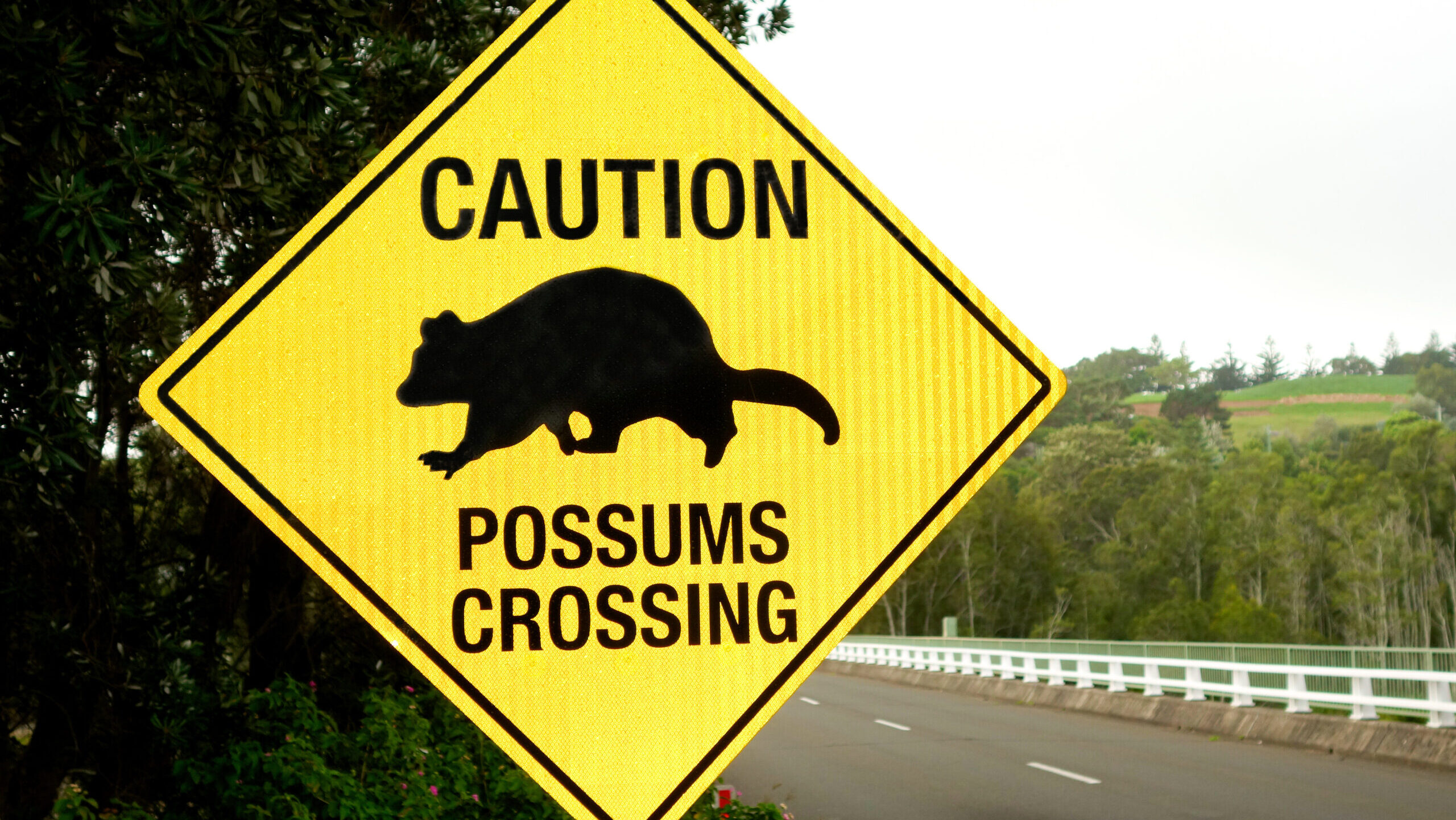 SB132 is a useless ban that creates crime instead of fighting it