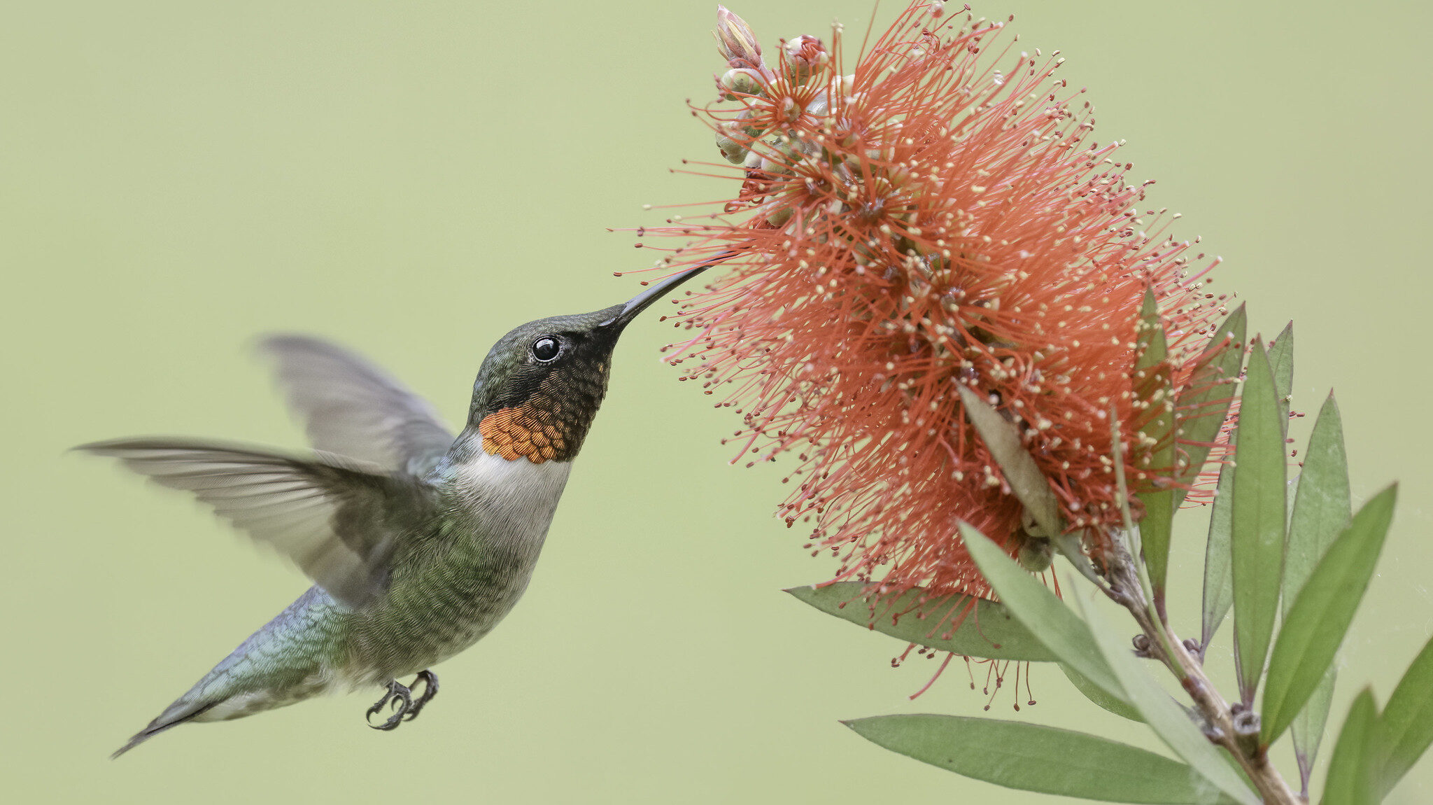 2025 Outdoor Alabama Photo Contest winners announced