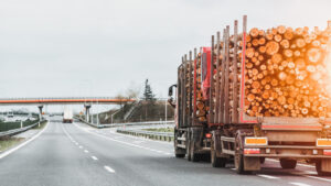 Alabama roads ranked 2nd nationwide amid debate over truck weight limits