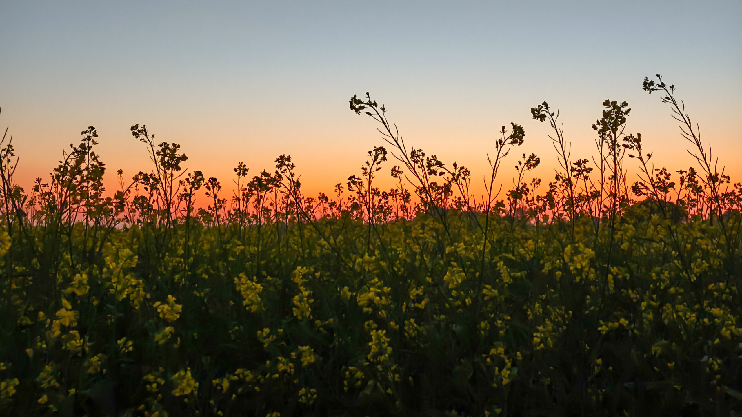 Alabama residents challenge warrantless searches by game wardens