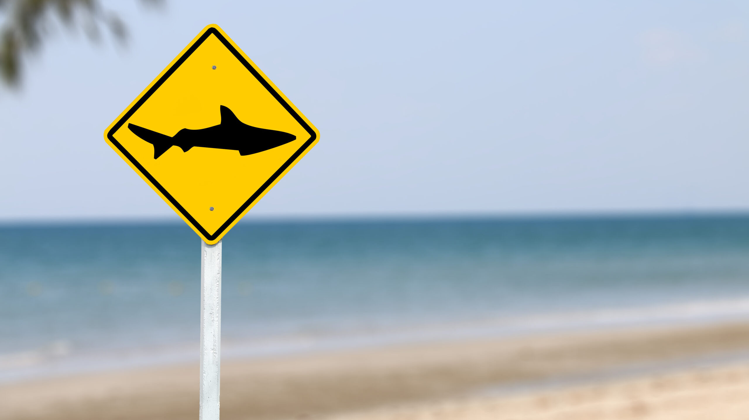 Sen. Britt celebrates unanimous vote to advance Lulu’s Law