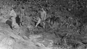 War comes to America