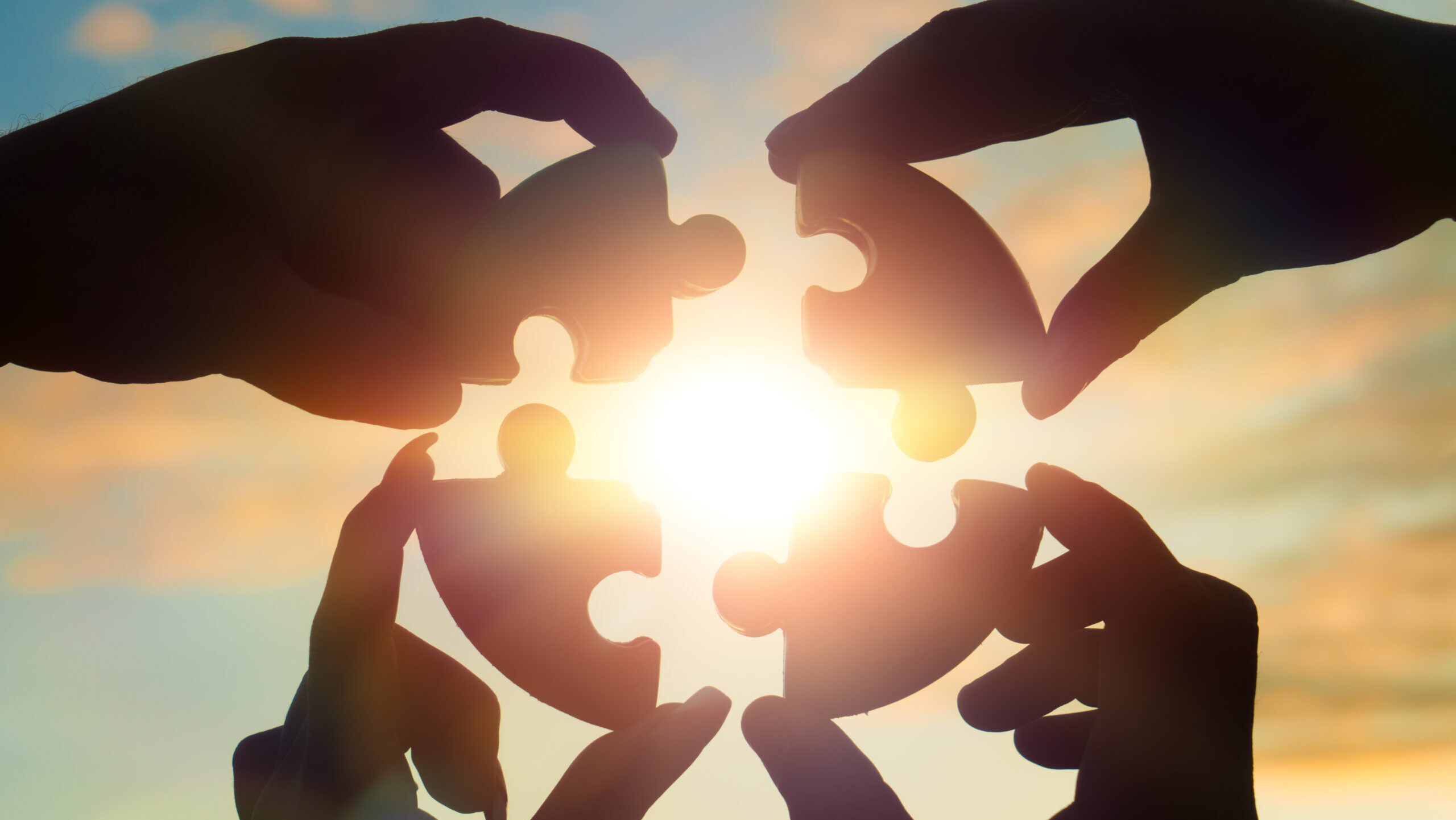 Cooperation, not conquest, will save democracy from the tribal abyss