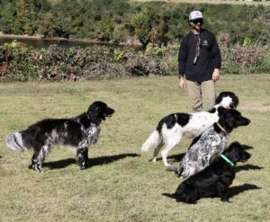 2025 Wetumpka Wildlife Arts Festival offers multiple sporting dog demonstrations