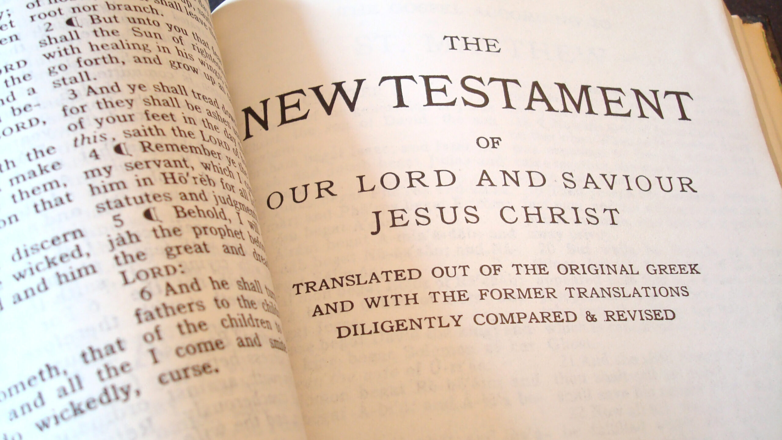 What would Jesus think of our politics and our treatment of neighbors?