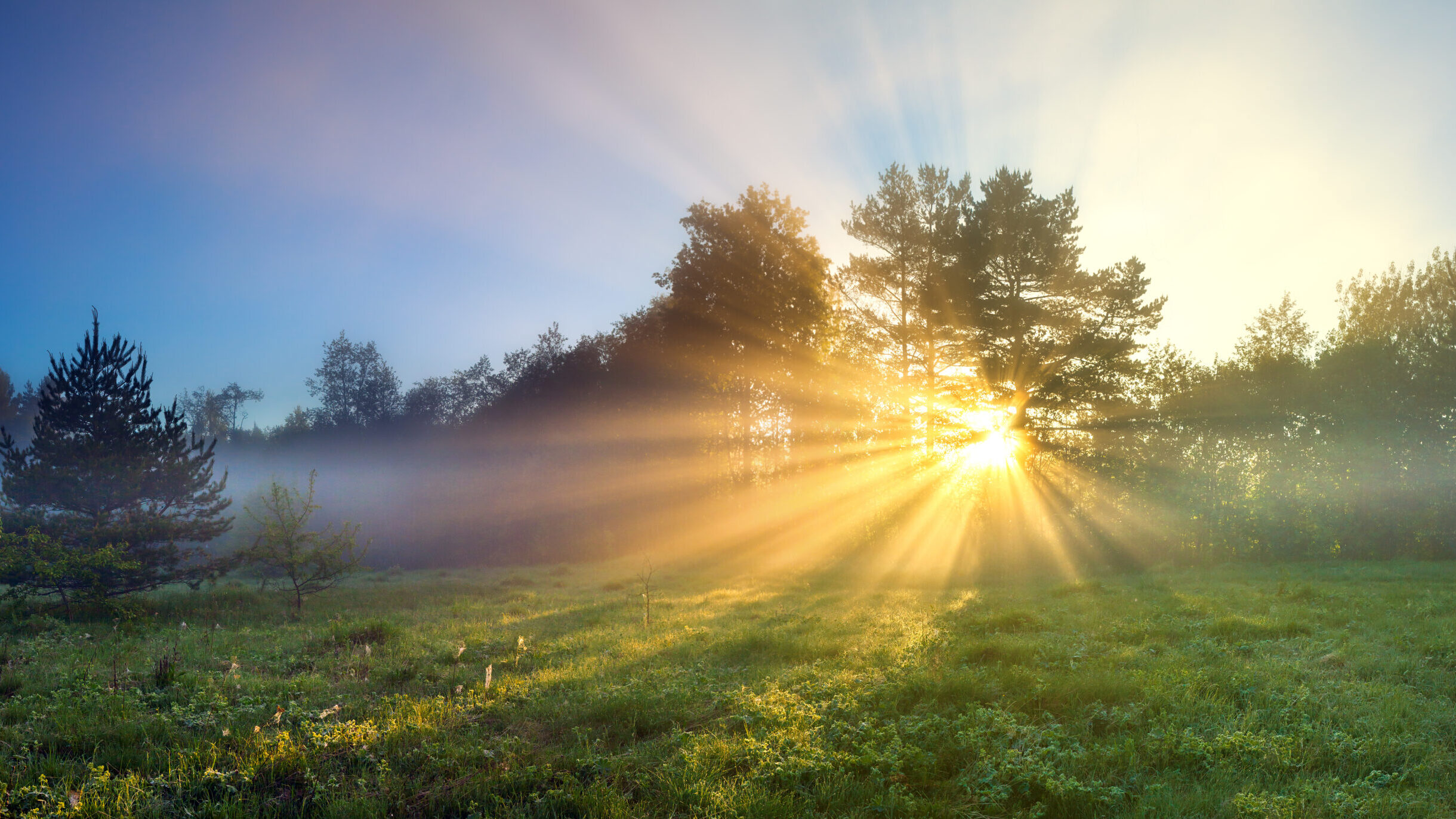 Lawmakers advance bill tying environmental rules to federal standards