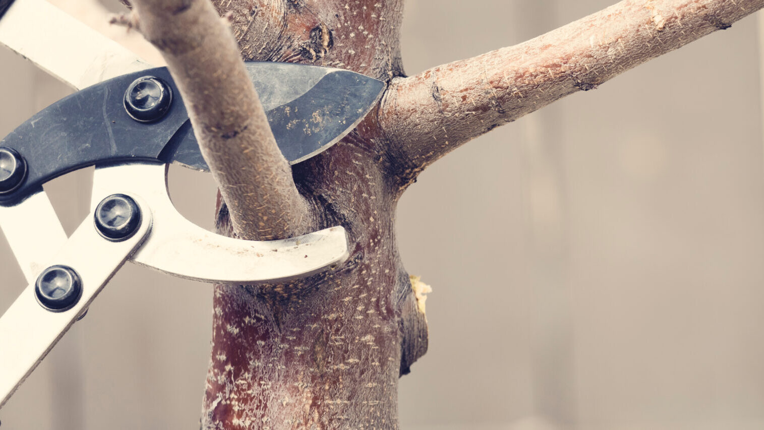 The discipline of letting go