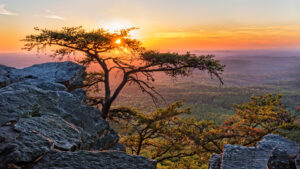 Alabama’s outdoors is key to our state’s economic growth