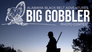 ALBBAA launches Big Gobbler Photo Contest for 2026 Turkey Season