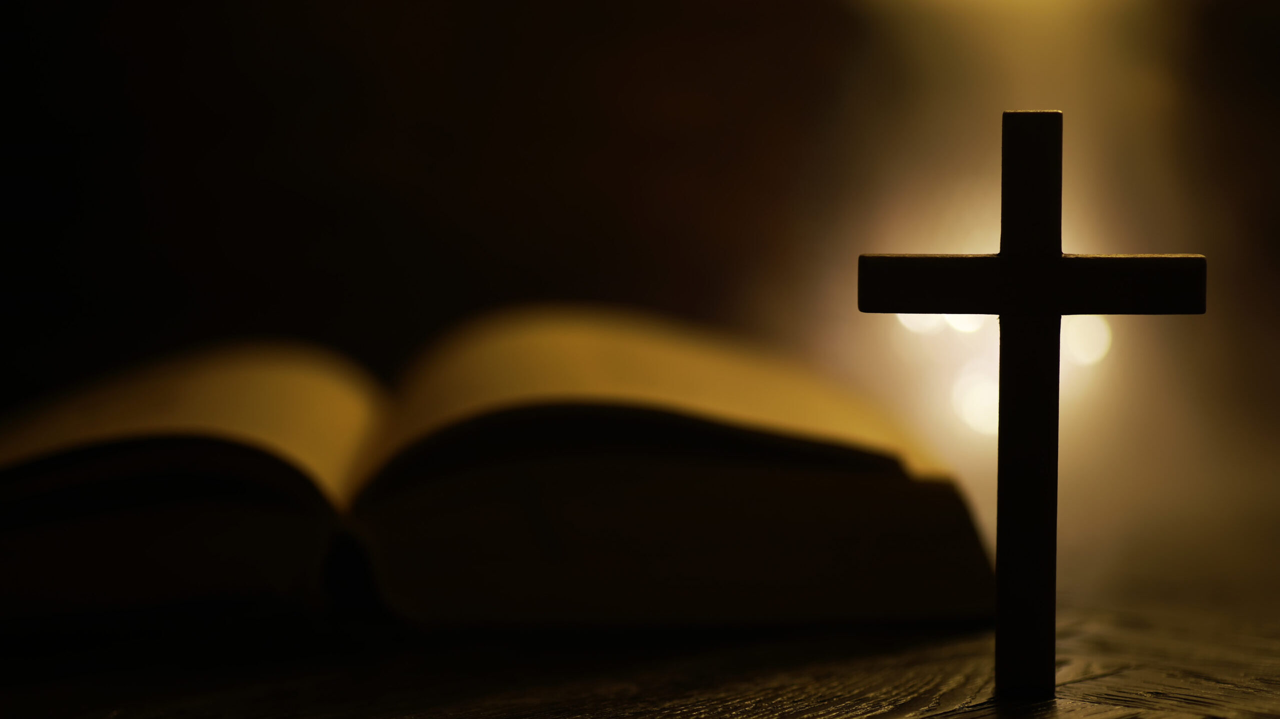 An odd duck’s journey through faith, politics, and independence